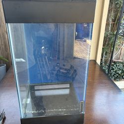 15 Gallon Aquarium