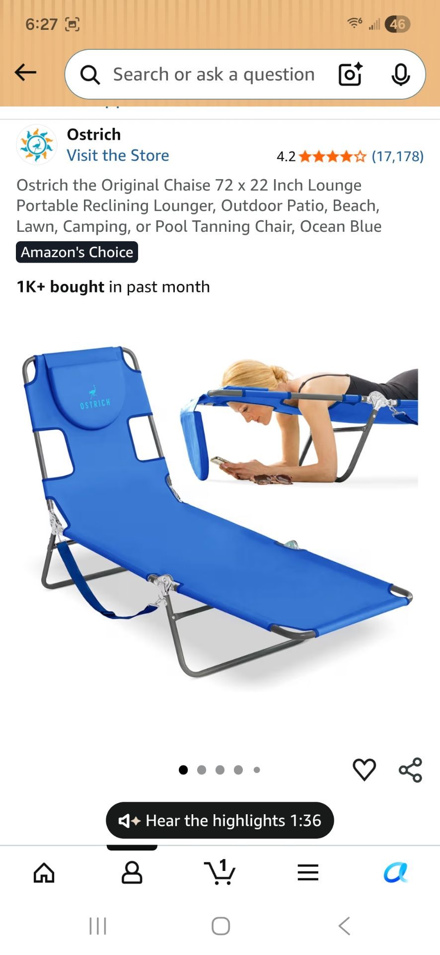 Tanning Beach Chair