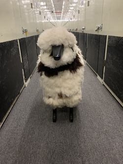 AYU NEW YORK Sheep/Ram