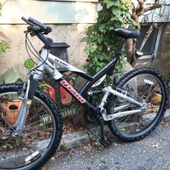 Giant Warp DS Three 20.5 Cm L Frame Height 21-speed Frame Is Aluminum Nice Bike Road Ready