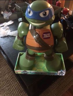 Jumbo size turtle 🐢
