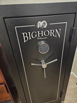 Gun safe