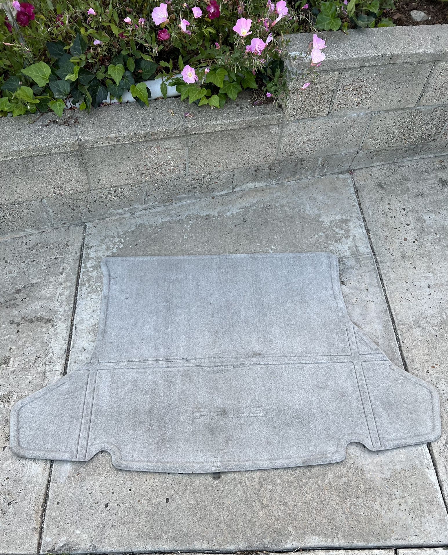 Toyota Perius Carpet 