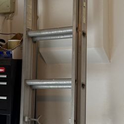 Tall Extendable Ladder