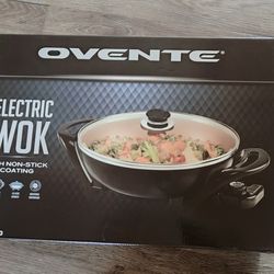 ELECTRIC WOK