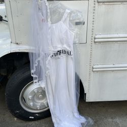Wedding Dress & Veil