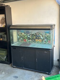 60 gallon panoramic aquarium no leaks w/ lid & stand