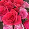 Lovely