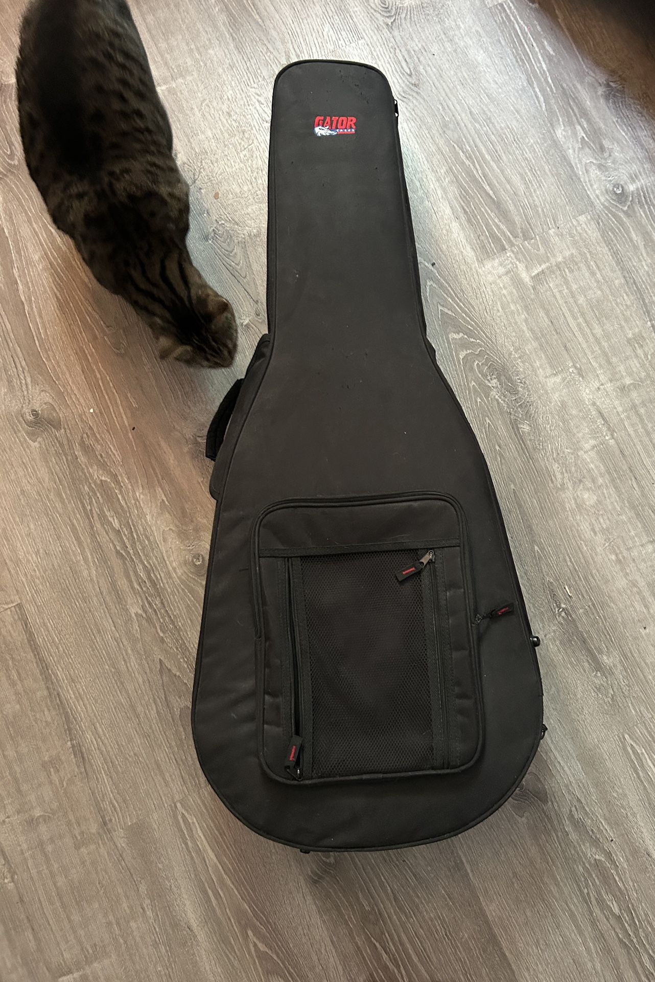 Acoustic Guitar Case