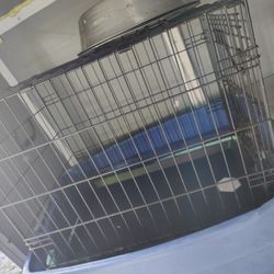 Dog Cage 