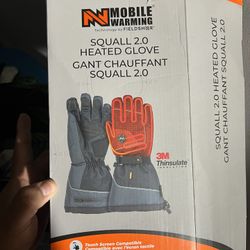 Heated Gloves 