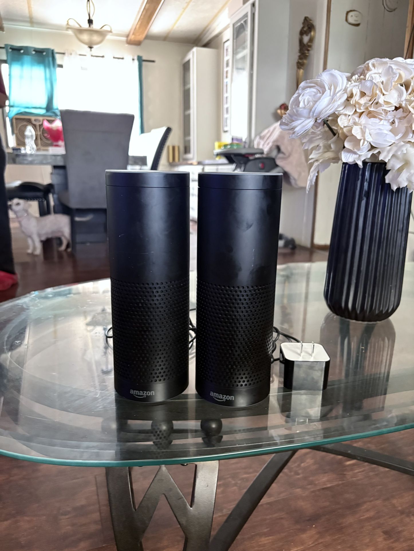 Alexa Speakers