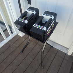 Powerblock 45lbs Adjustable Dumbbell Set With Stand 