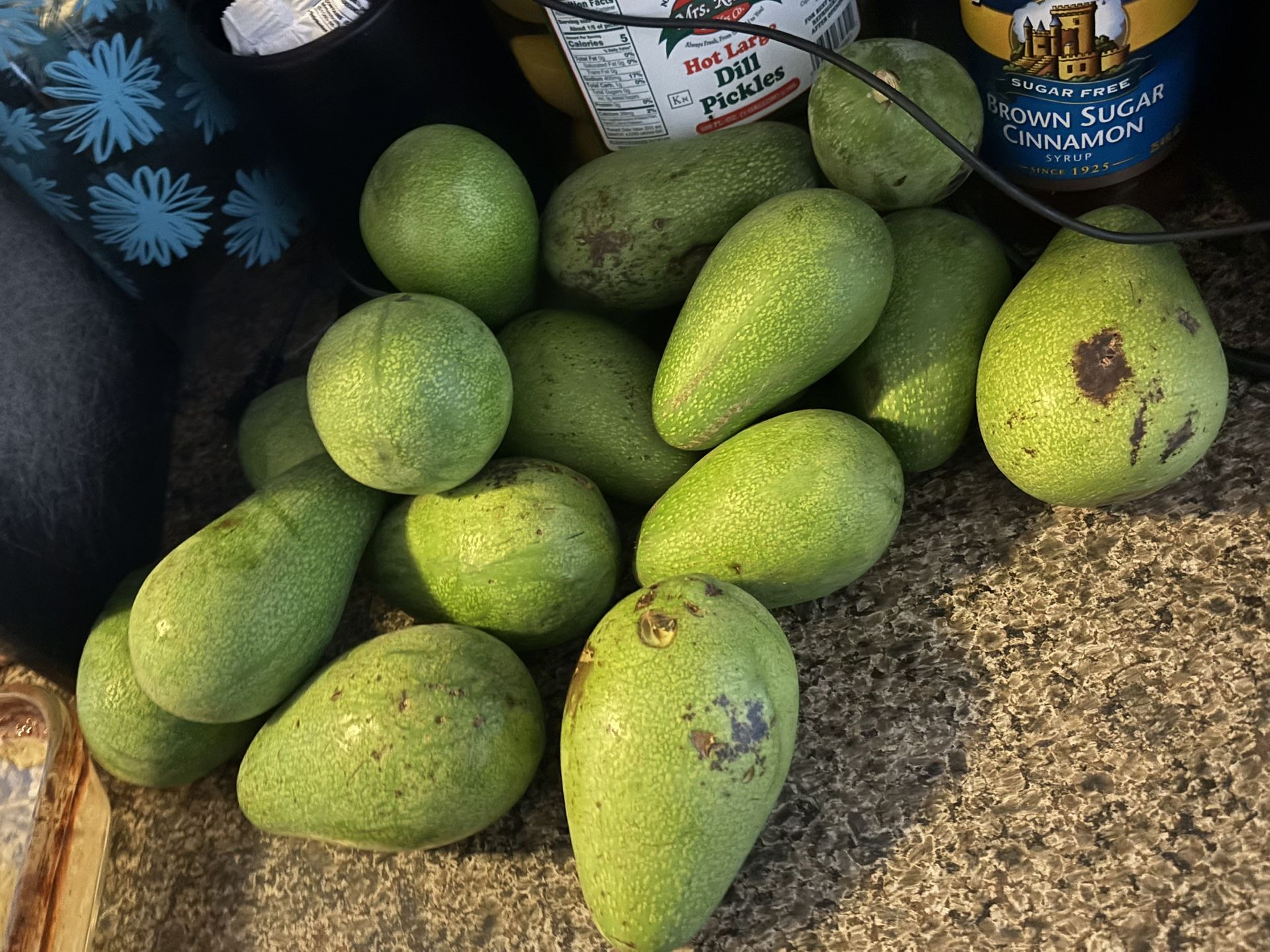 Avocados City Of Fritos
