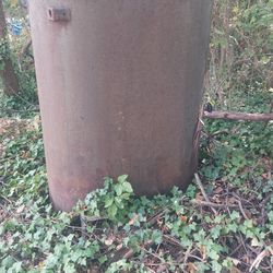Oil Drum