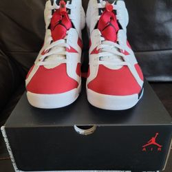 Nike Air Jordan 6 Carmine 2021 Sz 7 and 8