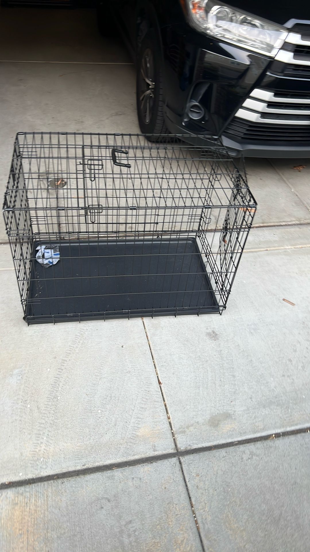 Kennel