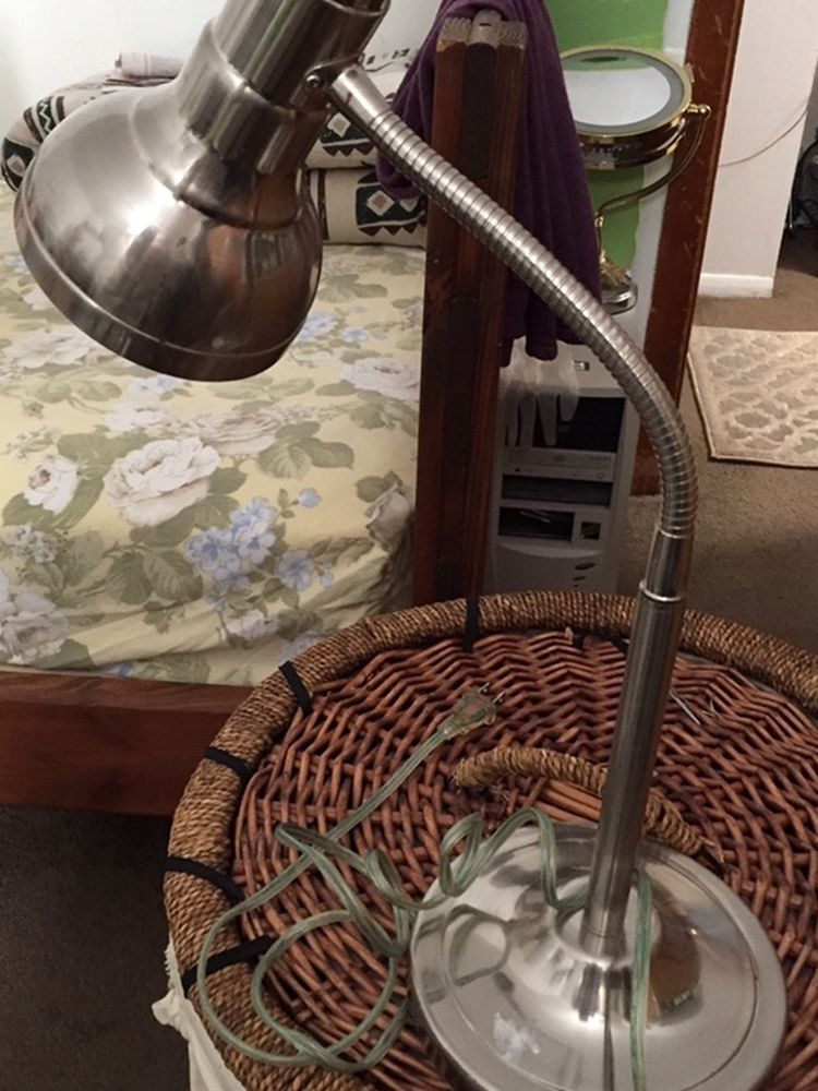 Good Quality Gooseneck Lamp Appx 23 “ Tall