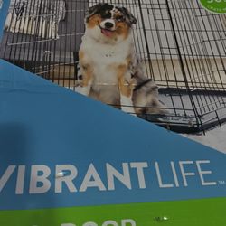 Dog Cage