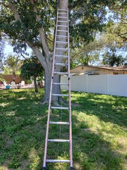 Extension Ladder CHEAP!!