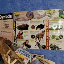 Classroom/craftroom Decoration 