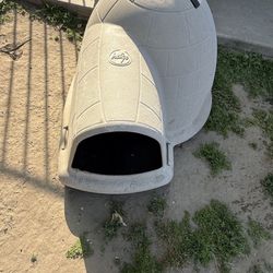 Dog House $50