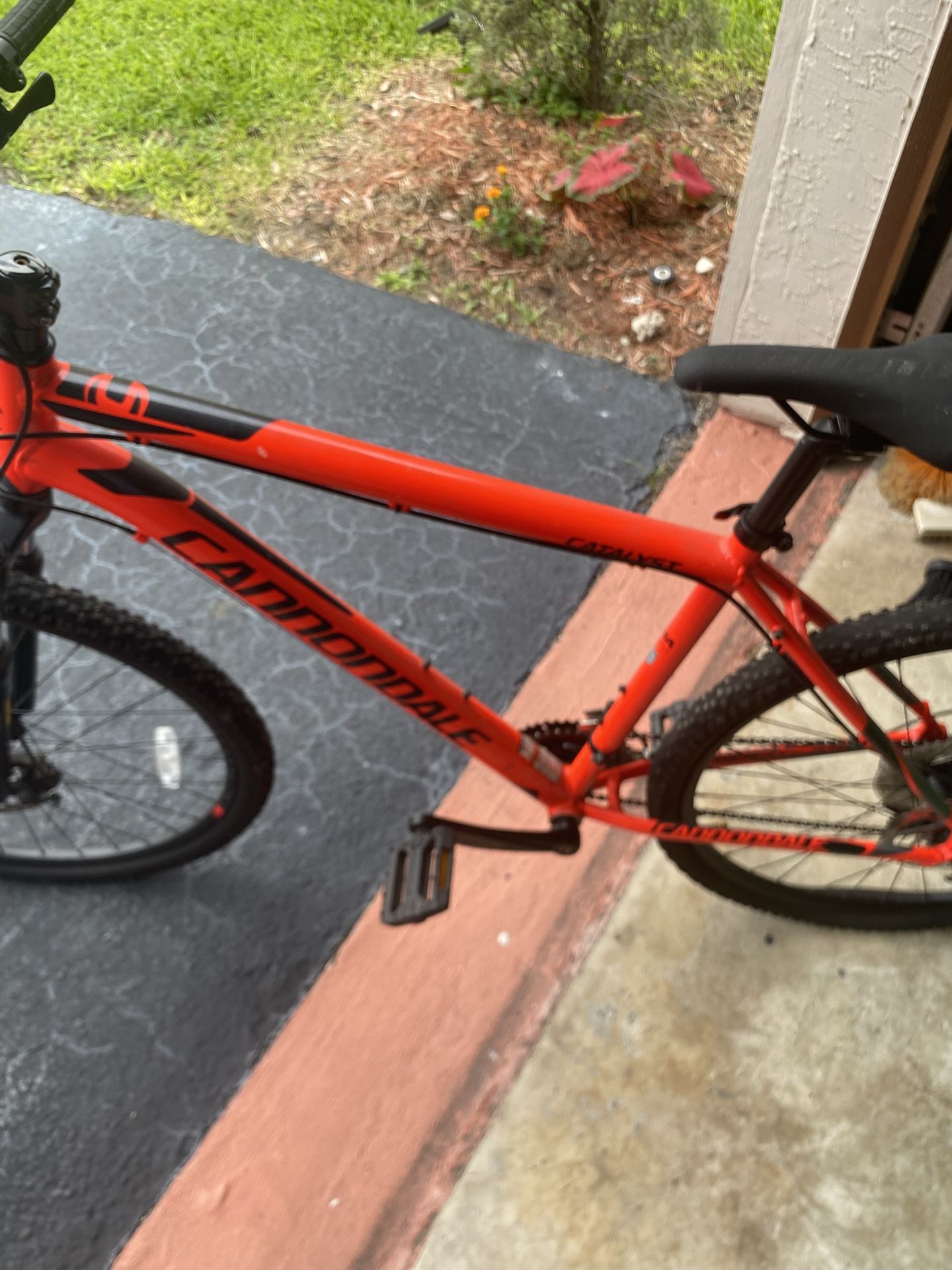 Cannondale Bike