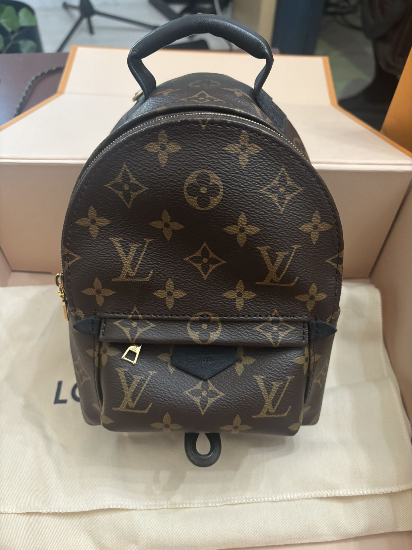 Louis Vuitton Palm Springs Mini 