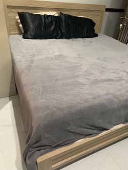 King Bed and Mattress FREE