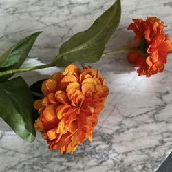 Long Stem Fall Flower