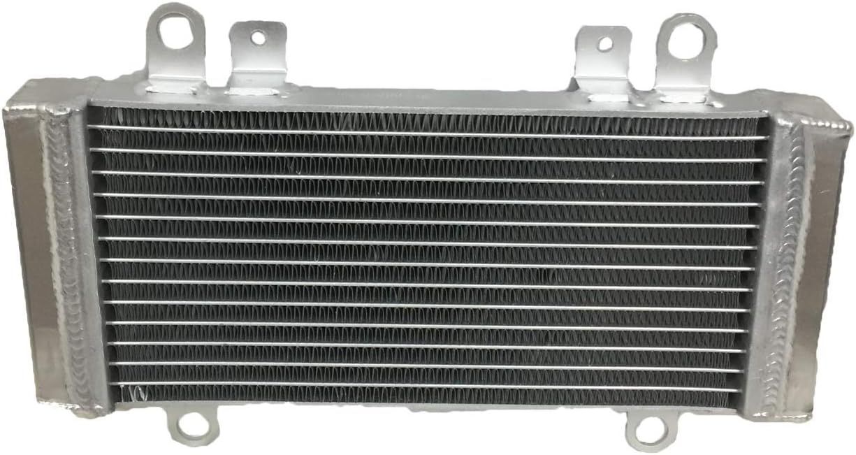 New Radiator for: Kawasaki Ninja 300 EX300 EX 300 2013-2017