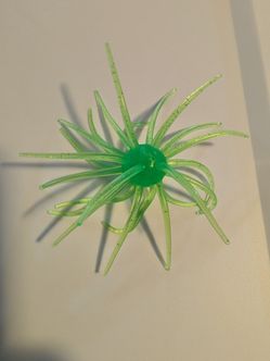 Sea urchin fishing plastics