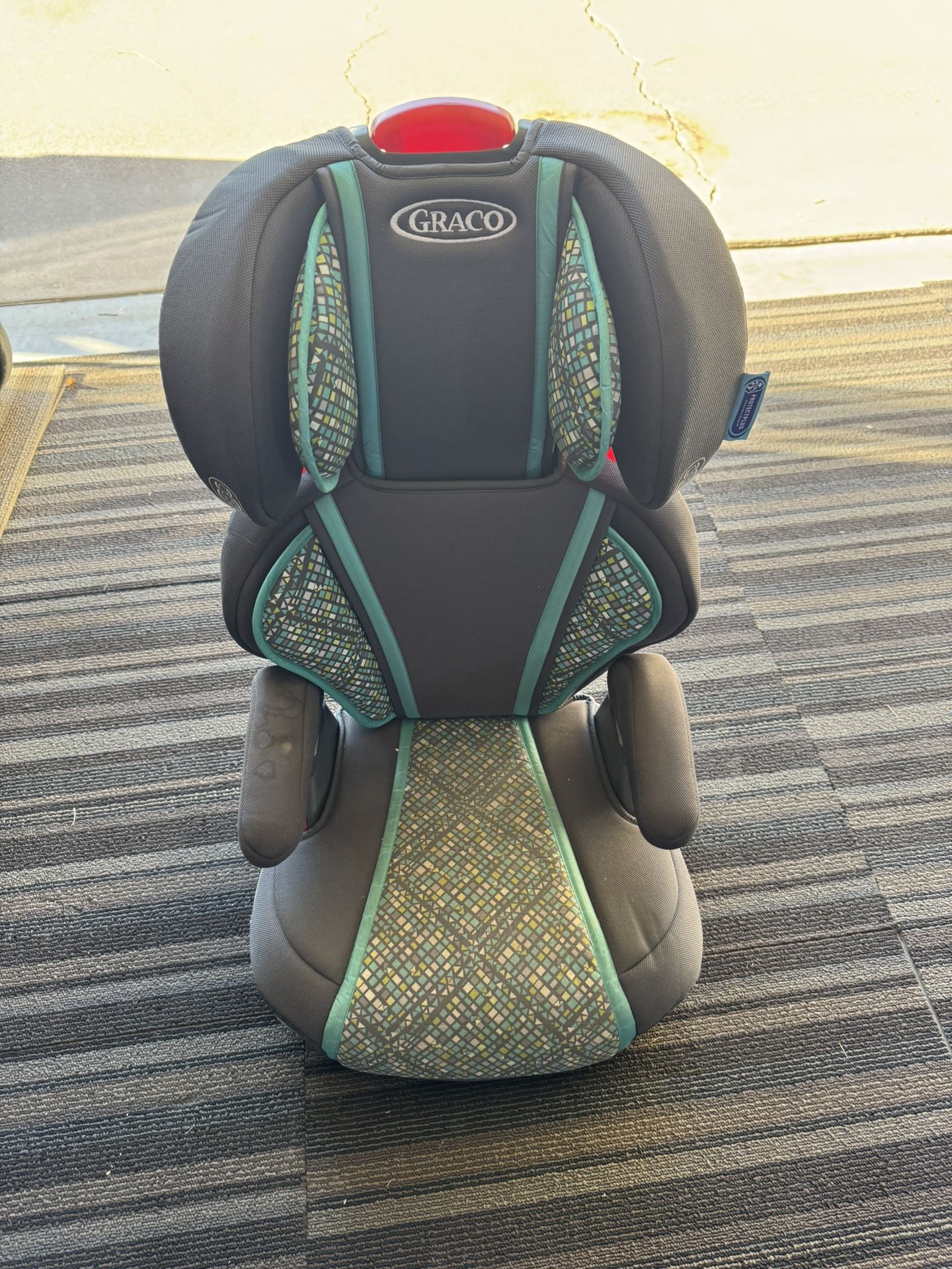 Graco Booster Seat
