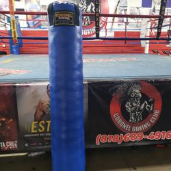 Kickboxing Punching Bag 