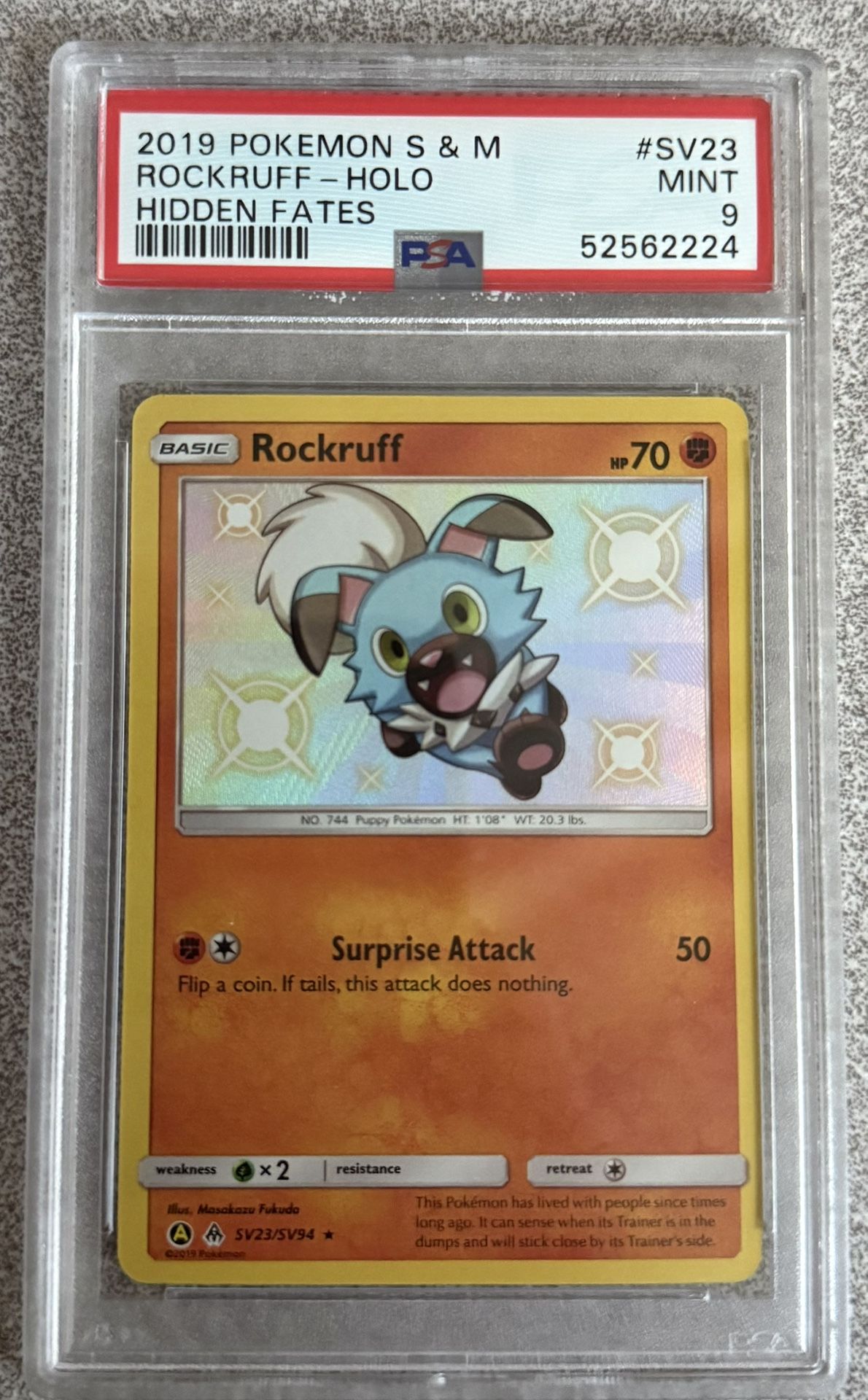 Pokemon