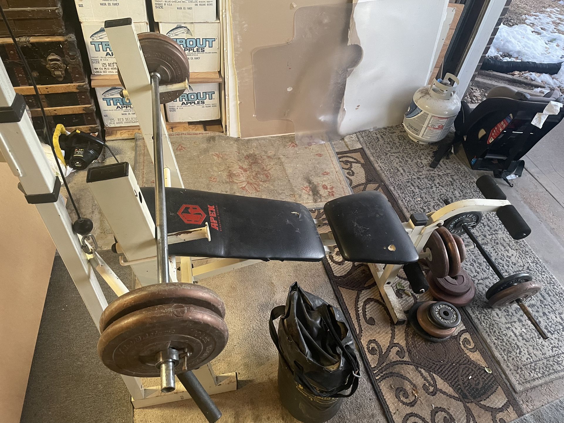 Weight Bench With Weights And Rod