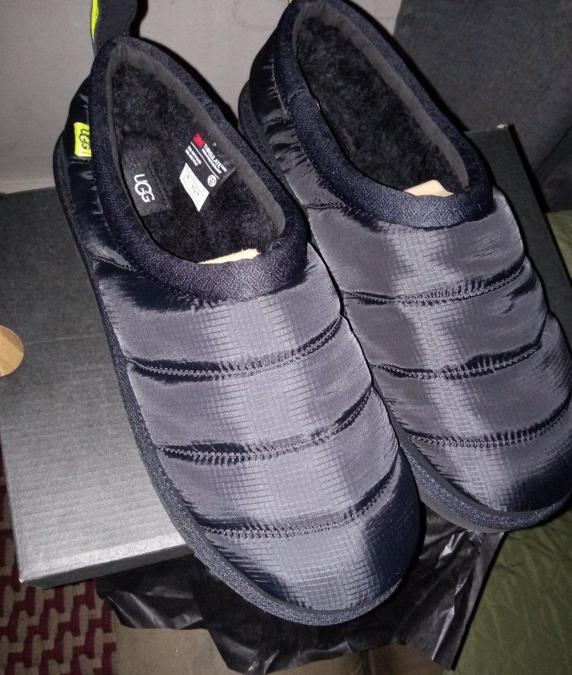 Ugg Tasman