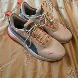 Puma