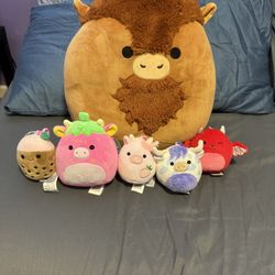 Squishmallows 