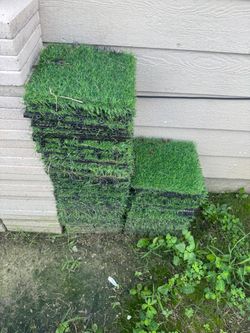 Turf & Squares