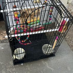 Bird Cage With Toys 