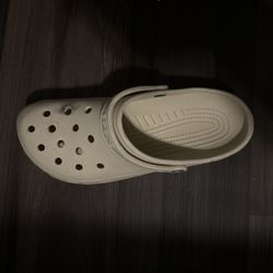 Cream Croc