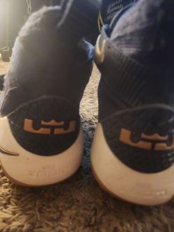 Lebron Basketball Shoes
