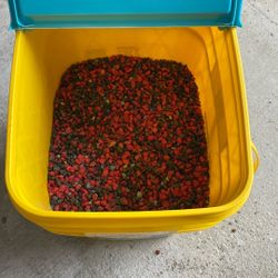 40lbs Of Gravel For Fish Tank 