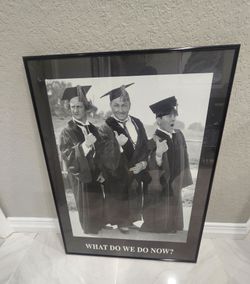 The 3 Stooges