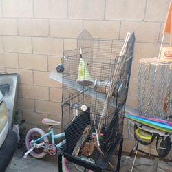 Bird Cage For 80 Or Best Offer 