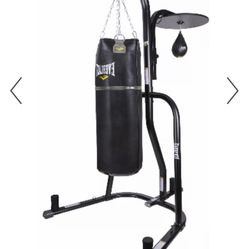 Heavy Bag and speed Bag