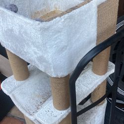 Cat Playground 