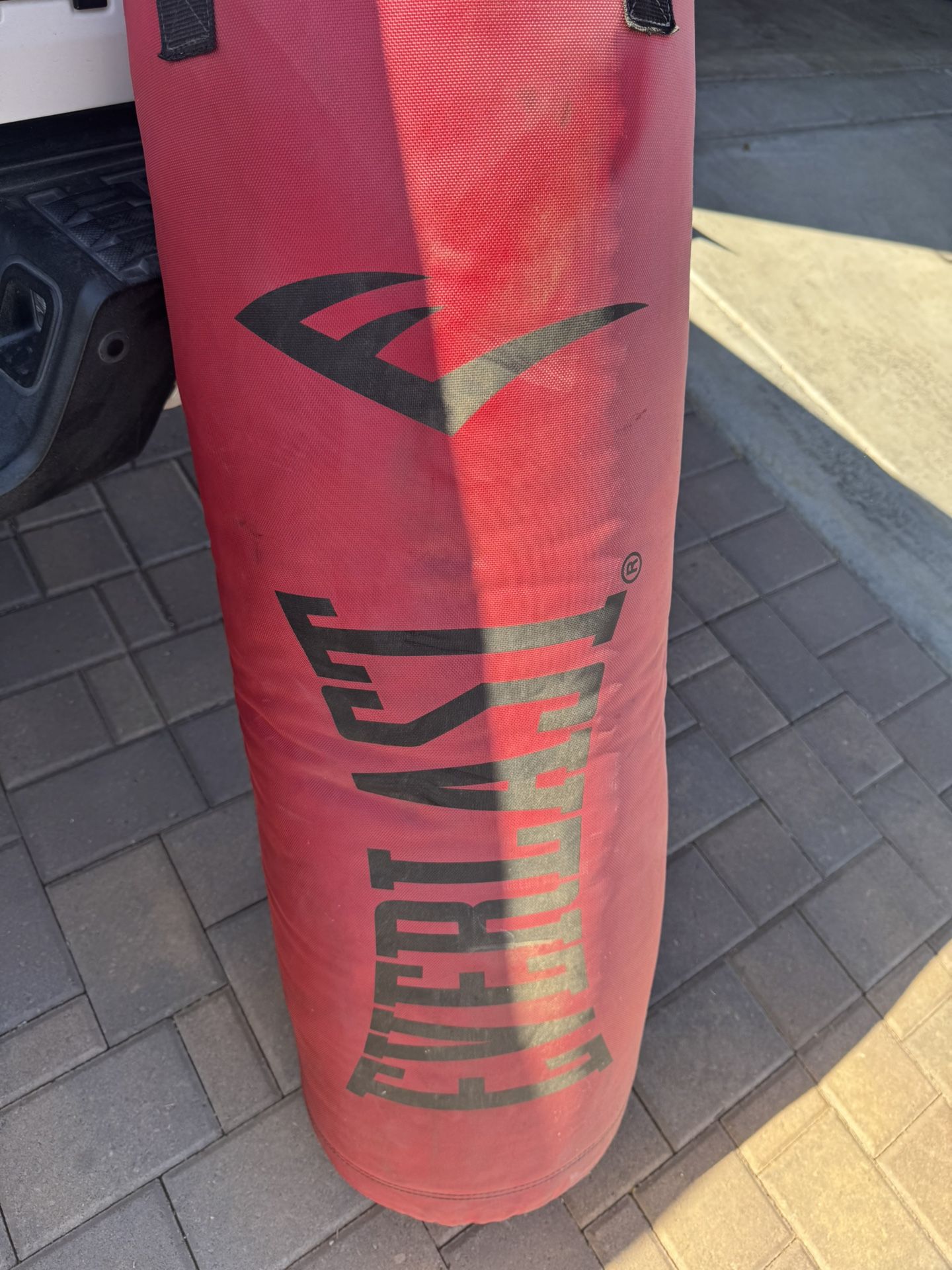 Everlast Punching Bag