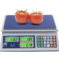 Scale 